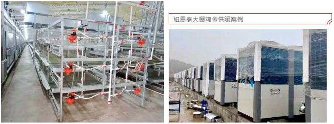 尊龙凯时空气能G60KD超低温冷暖热泵机组，为23000㎡16个大棚鸡舍供暖